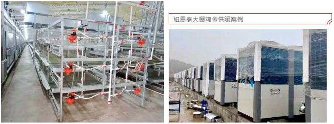 尊龙凯时空气能G60KD超低温冷暖热泵机组，为23000㎡16个大棚鸡舍供暖